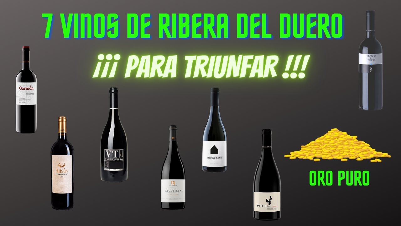 👑​👑 VINOS DE RIBERA DEL DUERO. 💫​💫[[[ 7 JOYAS que NUNCA fallan ]]]