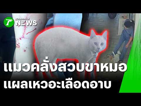 คลิกเพื่อดูคลิปวิดีโอ