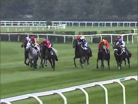 Italian St.Leger 2012-Don Halling(Ds Maentiva)Václav Janáček