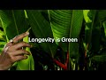 Longevity Is Green Earth Day 2024