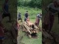 Do Din Ka Mela Ayabhi Akela Shamshaan Shorts Viralsshort Trending Reels Manas Ytshorts