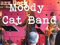 Ester Kočičková & Moody Cat Band