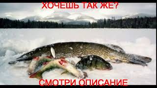 Рыбалка 44 форум кострома водоём
