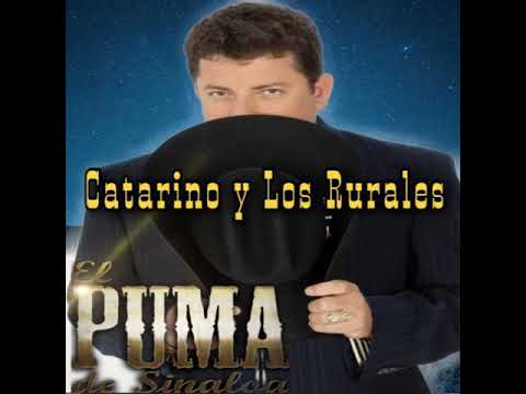 EL PUMA DE SINALOA -10 KILOMETROS