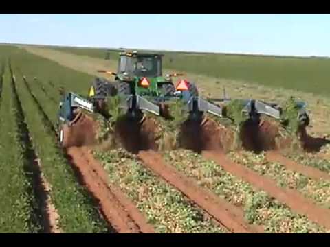 Peanut Digger - Groundnut Digger Latest Price, Manufacturers & Suppliers