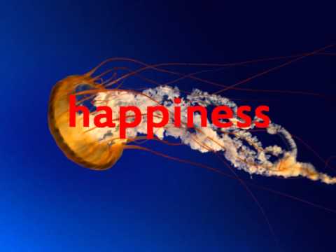 dj andy ft stella happiness