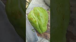 Download lagu Pengen punya alat kelamin besar? mp3