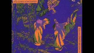 Pissin On Your Steps - Del The Funkee Homosapien