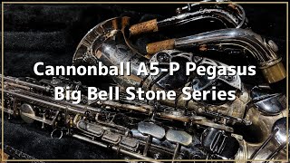 【サックスレビュー】Cannonball A5-P Pegasus Big Bell Stone Series【SDwinds】