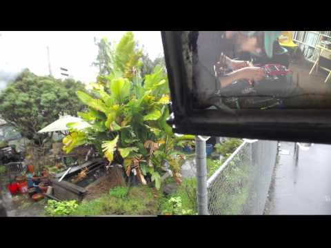 The Droneapple Express, a live ambient set by Dreamlogicc