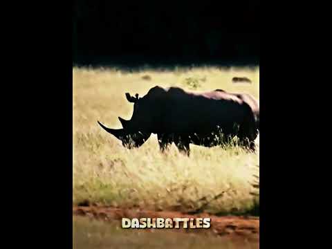 Part 3 : Prehistoric animals vs Modern animals Elimination wheel #shorts #elephant #rhino