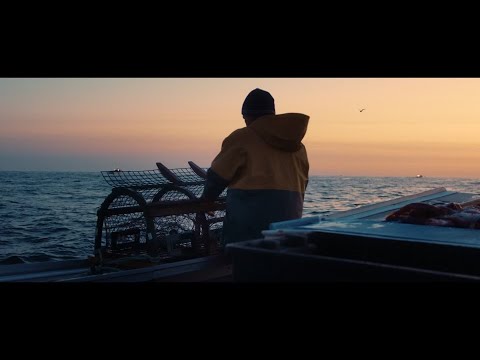 Ben Chase - Saltwater Cowboy (Official Music Video)