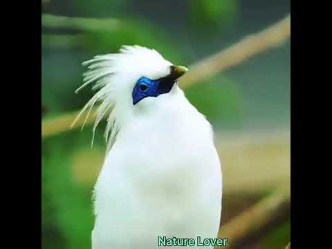 If you Love Nature, you will Live Long❤️