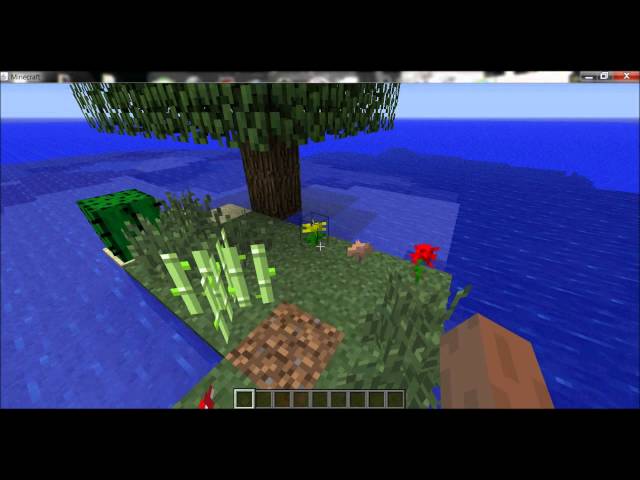 Extreme Survival Island Minecraft Map