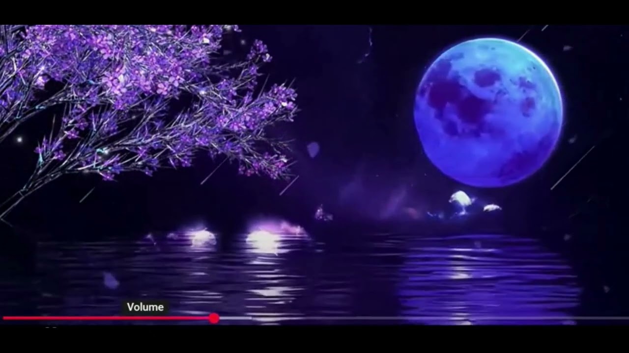 Irradiação de 02/02/25