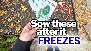 Plant These 7 Crops AFTER It Freezes in November