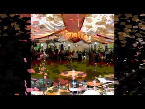 The Vinyl Underground Music, Lyrics, Songs, and Videos480 The Vinyl Underground Music, Lyrics, Songs, and Videos480