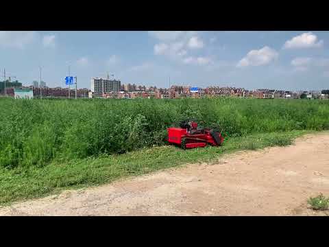 фото газонокосилка мульчер молотковая на гусеничном ходу ne800f 0