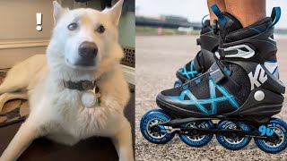 Husky Unboxing and Pulls K2 F.I.T. 90 BOA Rollerblades