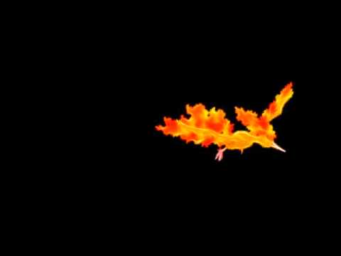 Lombardi Skies - Moltres (Pokemon Split) #146