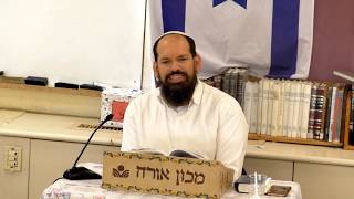 מה משמעות השם בנימין? ולמה רחל נקברה בדרך? | פרשת "וישלח" עם הרב אייל ורד - התמונה מוצגת ישירות מתוך אתר האינטרנט יוטיוב. זכויות היוצרים בתמונה שייכות ליוצרה. קישור קרדיט למקור התוכן נמצא בתוך דף הסרטון