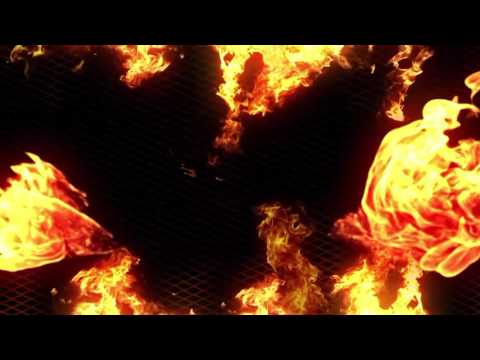 TOP 6 KNOCKOUTS - Rayko "The Lion" Levitchi