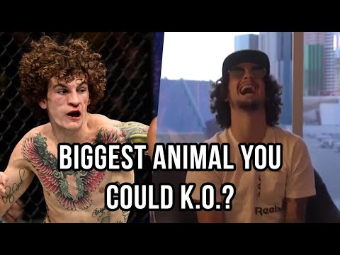 HIGH-Potheticals With UFC Fighter Sean O'Malley & Coach Tim Welch