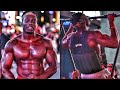 Beast Mode Requirements | Upper Body Workout for Mass Gain | Weighted Calisthenics