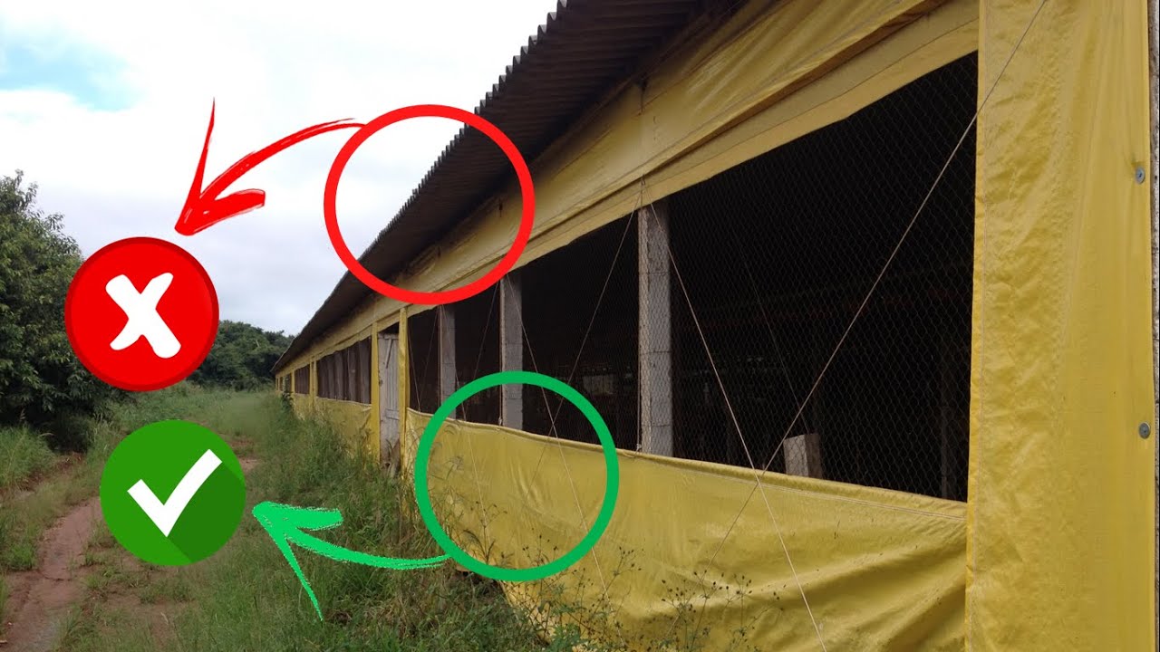 DETALHES do GALPÃO que fazem a DIFERENÇA