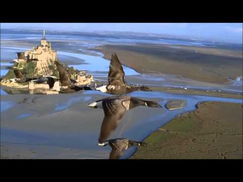 Sancta Maria Choir - Ya rabbou ilayka ousalli