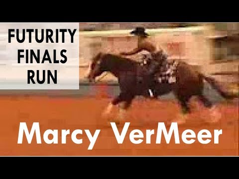 NRHA Futurity - Marcy Ver Meer - Open Reserve Champion