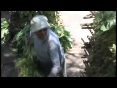 "Un tren a Pampa Blanca", de Fito Pochat (trailer)