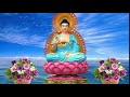 backroad intro buddha, ảnh phật a di đà buddha video 8k, hoằng dương phật pháp  81