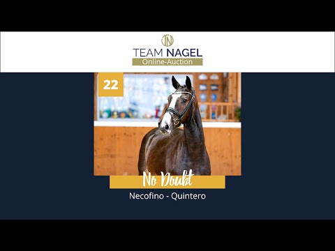 Katalog 22 - Wallach v. Necofino - Quintero * 01.05.2019
