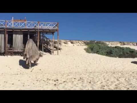 Ventanas Al Mar feb 2017