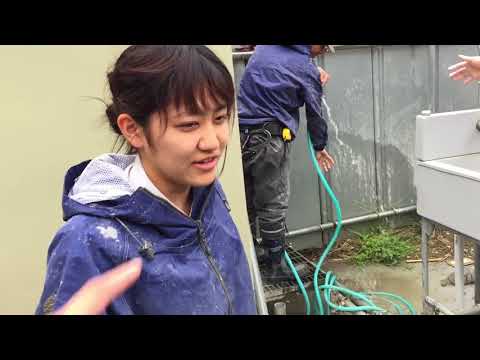 VLOG | Cuộc Sống Nhật Bản 99 : Một Ngày Làm Việc Của Nữ Kỹ Sư Người Nhật | Không Phân Biệt Nam Nữ