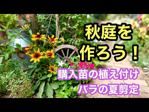 室内で種を蒔く時期と方法