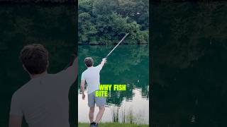 Download lagu Inilah MENGAPA Ikan Lebih Lezat Saat Hujan! 🌧️ 🎣 #shorts #memancing mp3