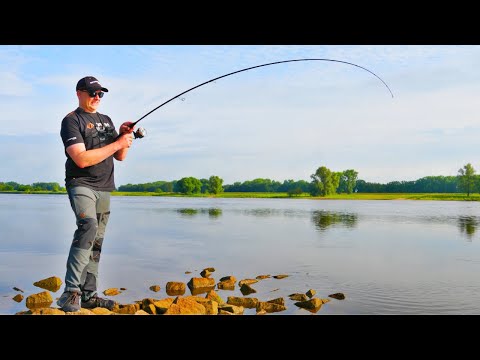 There's a bang at the groyne head - it's crazy how the Elbe delivers!