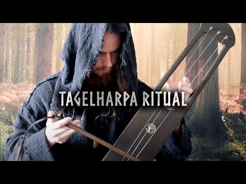 Hour of Tagelharpa is where Vikings dream and ancient forests breathe
