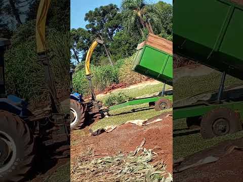 25 de janeiro de 2026