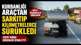 Kurbanlığı Araçtan Sarkıtıp Kilometrelerce Sürükledi