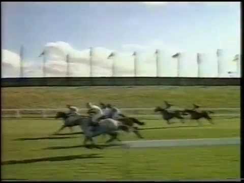 1978 Haig Whisky Hunters' Chase