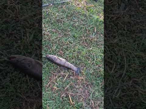 vacaciones descanso y obvio un poco de 🎣🎣 Santa Elena Entre Ríos ###