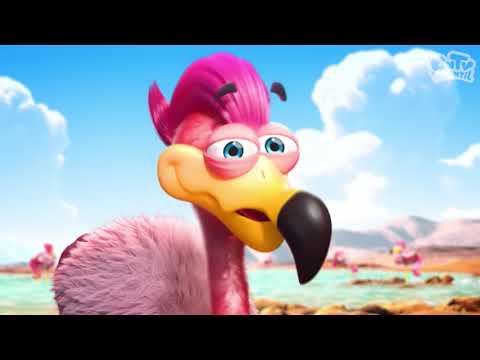 Flamenco Animales de Chile | Faunabulozoo Antofagasta