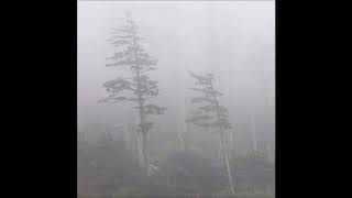 01. Unfinished Portraits - another happy thought [02.08.2018]