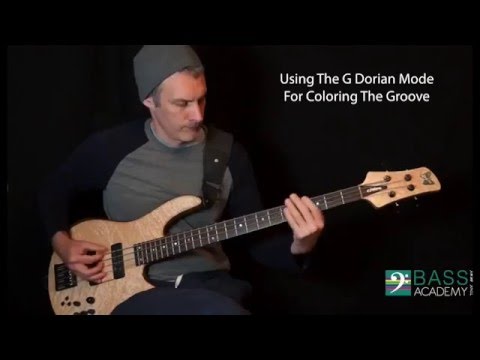 FREE Weekly Bass Lessons: Week 1 'Groove Concepts'