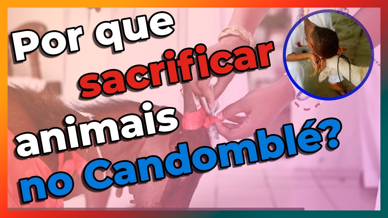 Por que o candomblé sacrifica animais ? - EP. 209
