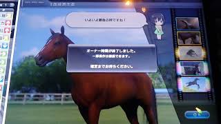 【スタホ4／スターホース4】スターホース4をやってみた《特别編》（一杯調教未出走馬素質検証：その2）〜120週フル漬け・レース未出走・トレセン使用禁止〜