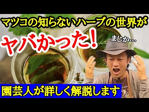 料理用ハーブの栽培: これが仕組みです トピックス